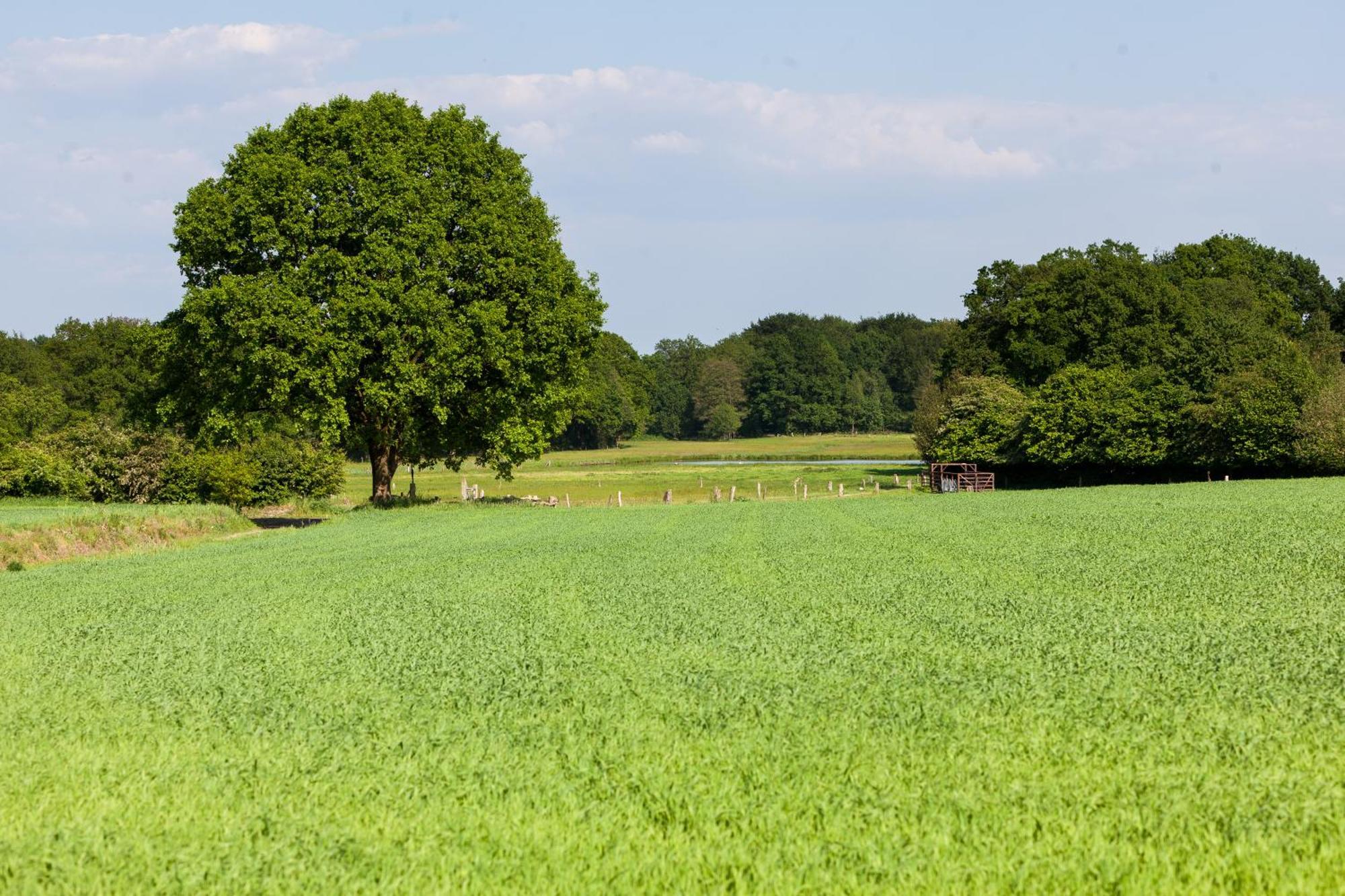 Hoeve Springendal Erf&Bron Hezingen Esterno foto
