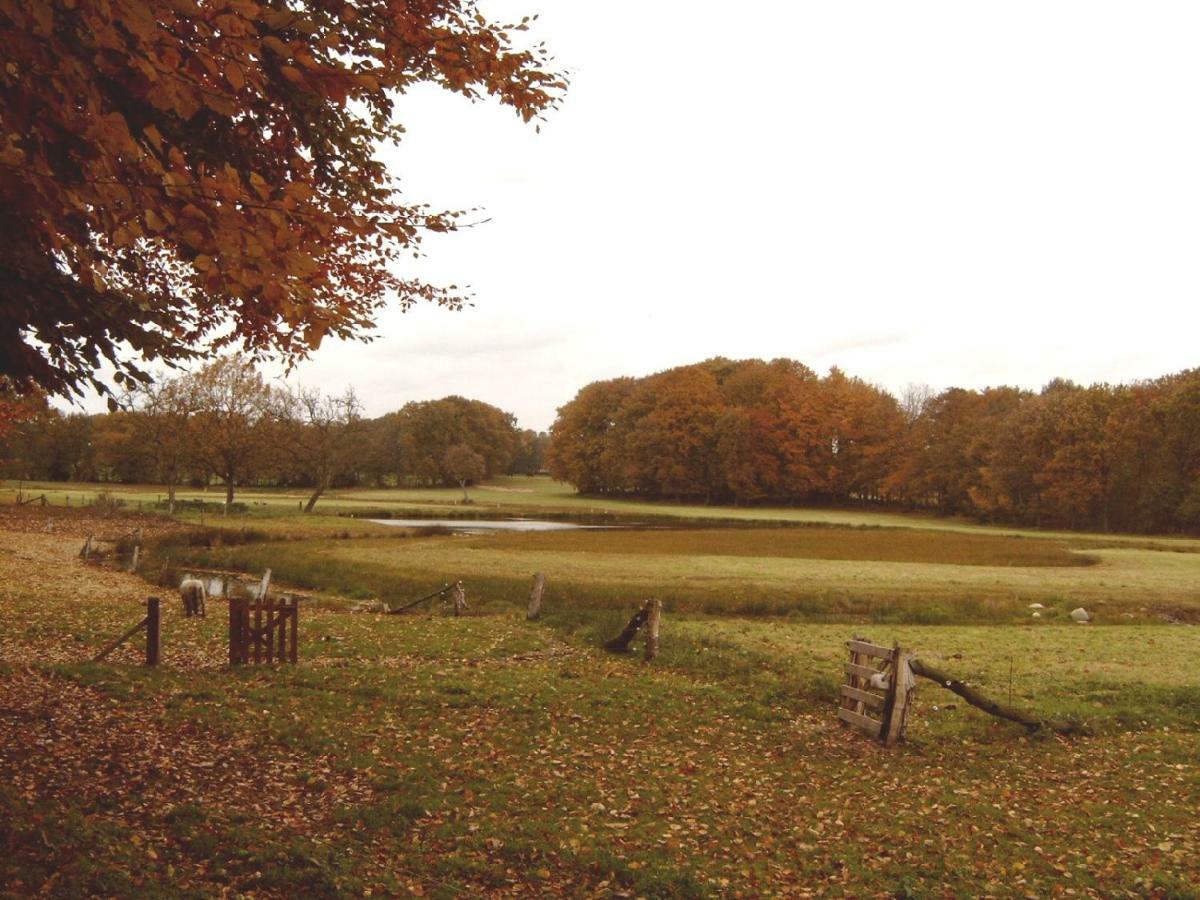 Hoeve Springendal Erf&Bron Hezingen Esterno foto